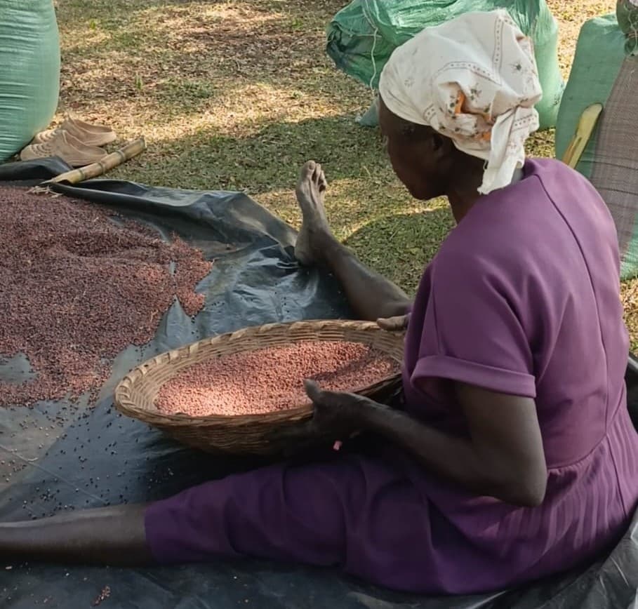 Women in farming and agriculture livelihoods
