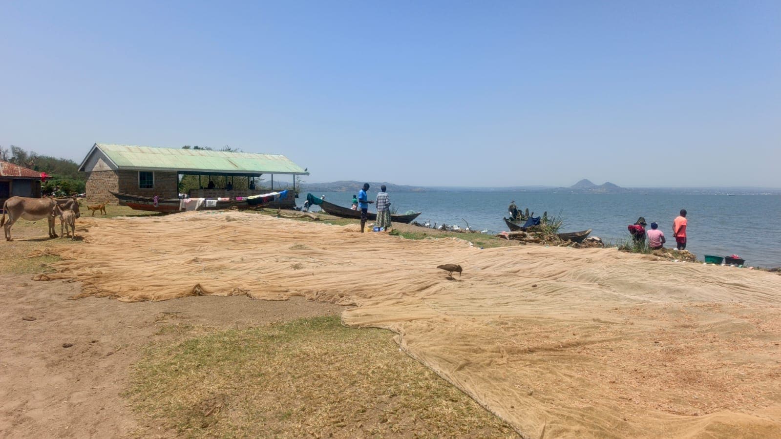 Community Empowerment Programs